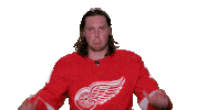 Red Wings Sport Sticker by Detroit Red Wings