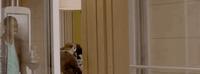 anewwaytocafe mccafewinning GIF by McDonald's Canada