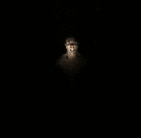 moth GIF