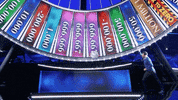 fox spinning GIF by SpinTheWheel