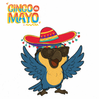 Cinco De Mayo Party GIF by Feraz NFT