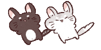 Chinchilla Sticker