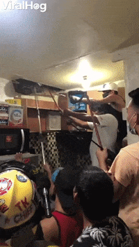 Huge Snake Extracted From Ceiling GIF by ViralHog