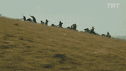 gear up war GIF by TRT