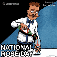 Pink Celebrate GIF by VeeFriends