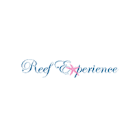 ReefTrip dive rex gbr snorkel Sticker