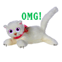 happy cat Sticker by Bastion Agency Studio Lab