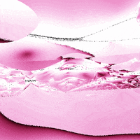 webgl GIF by Adam Ferriss