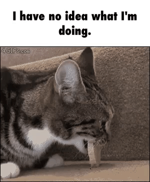 GIF by Demic