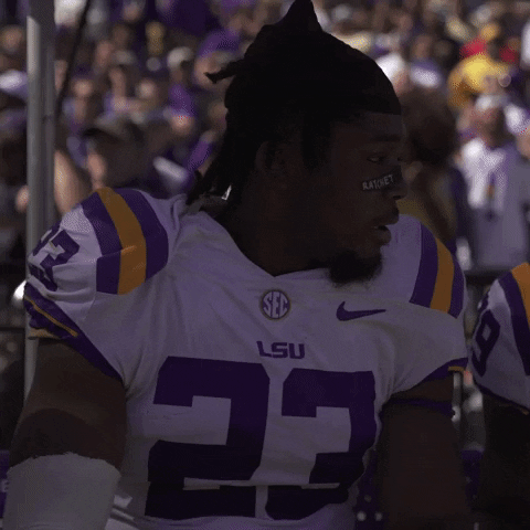 Death Valley Win GIF by LSU Tigers