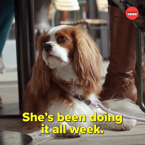Doing it all week