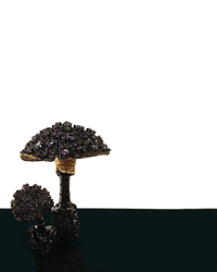 home GIF by Bergdorf Goodman