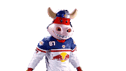 Rob Ice Hockey Sticker by EC Red Bull Salzburg