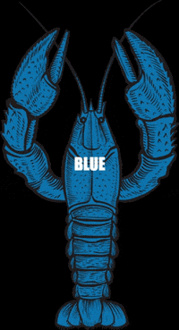 nsspiritco blue cheers weekend drinks GIF