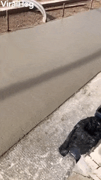 Girl Walks Straight Into Wet Cement GIF by ViralHog