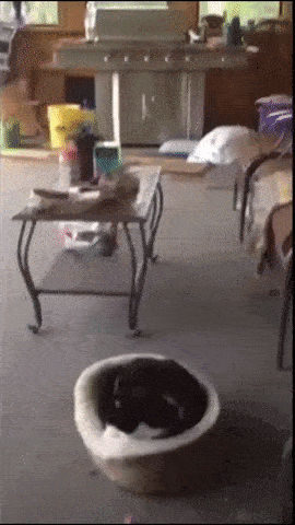 GIF by Demic