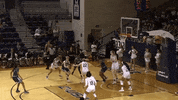 Rice University Basketball GIF by Rice Owls
