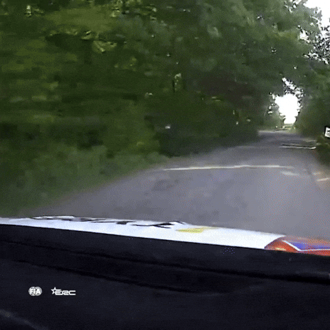 Car Crash Erc GIF by FIA European Rally Championship