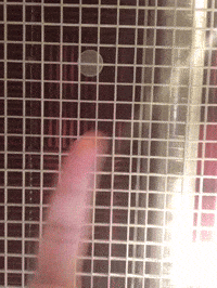 framebeta GIF by GIPHY Frame