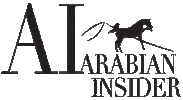 Horse Passion Sticker by Arabian Insider