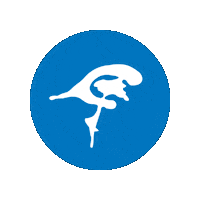 CHRISTOPHMIETHKE brain gehirn medtech hirn Sticker