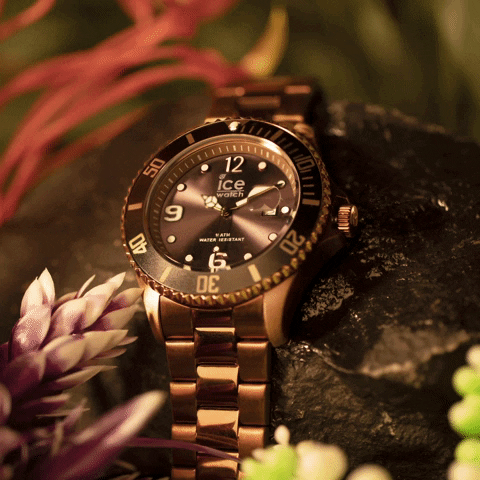 gobelins giphyupload GIF