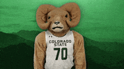 Csurams Gorams GIF by Colorado State Rams