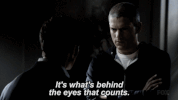 michael scofield fox GIF by Prison Break