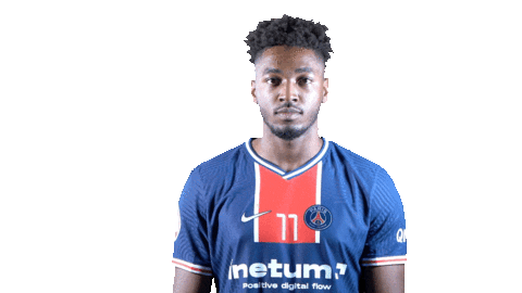 France Sport Sticker by Paris Saint-Germain Handball