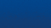 Bourg En Bresse Win GIF by Football Bourg-en-Bresse Péronnas 01