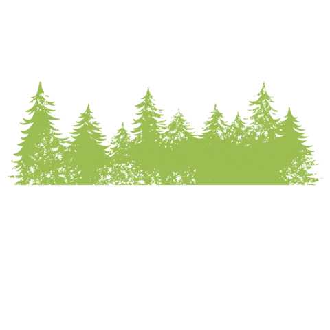 Tree Forest Sticker by Bad Harzburg Tourismus