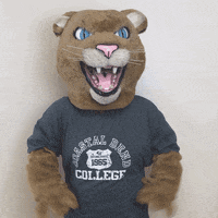 Party Celebrate GIF by Coastal Bend College