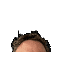 Trade Fair Olli Sticker by EuroShop