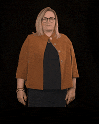 fdpfraktionlsa fdplsa ktarricone tarricone fdpfraktionlsa GIF