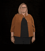 fdpfraktionlsa fdplsa fdpfraktionlsa ktarricone tarricone GIF