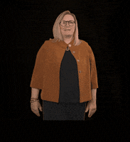 fdpfraktionlsa fdplsa fdpfraktionlsa ktarricone tarricone GIF