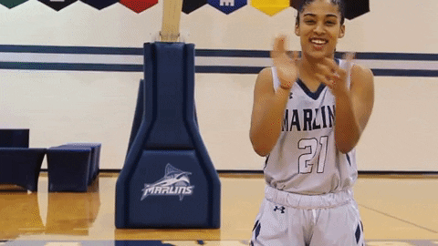 vwu_marlins giphyupload marlins vwu wethebeach GIF