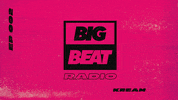 big beat dj GIF by Big Beat Records