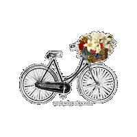 Black And White Flower Sticker by The Wild Curiosity