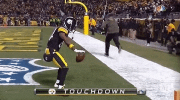 Pittsburgh Steelers Football GIF by NFL