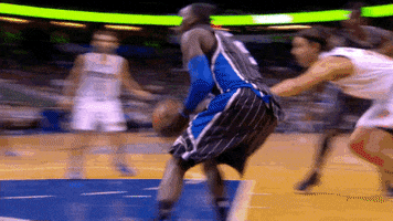 new york knicks block GIF