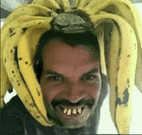 Dubay GIF