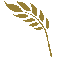 Sourdough Levain Sticker by Anita Sumer