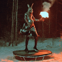 Rabbit Forest GIF
