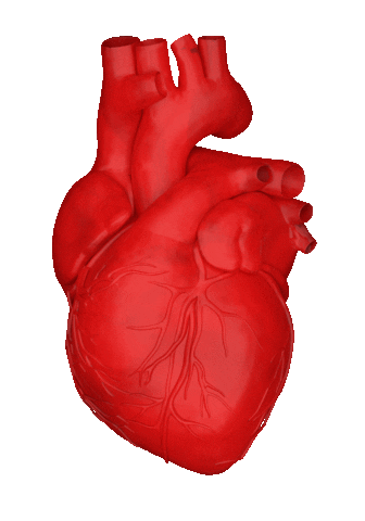 Heart Beat Animation Sticker by alperdurmaz