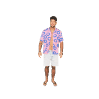 Jan Honza Sticker by Love Island CS