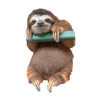 sloth STICKER by imoji