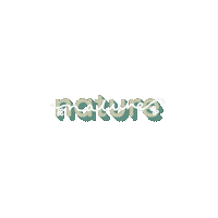 desire_ilustraciones white nature flower green Sticker
