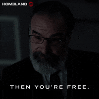 Episode 2 Showtime GIF by Homeland