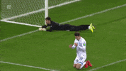 Angry Football GIF by FC Dynamo Moscow